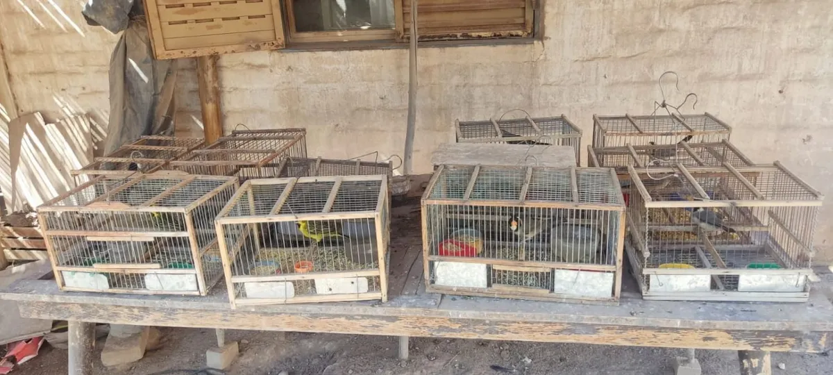 image - 2026-01-27T212814.951