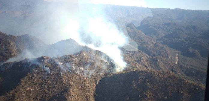 incendio en sierras de Valle Fértil