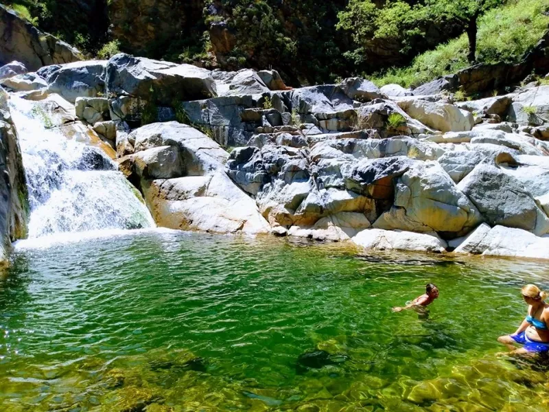 83158323_905116356553019_6549017393375477760_o