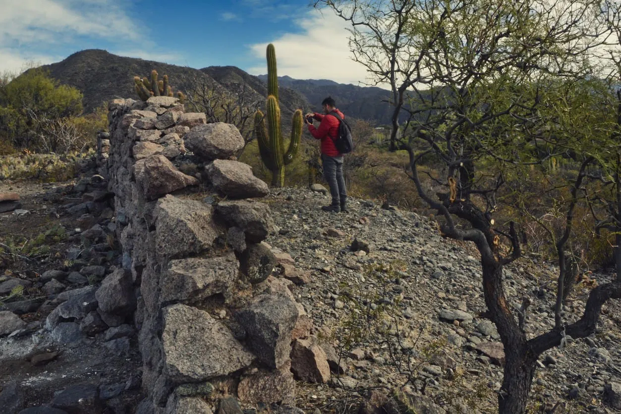 450556078_892759119545712_7672026945589667246_n