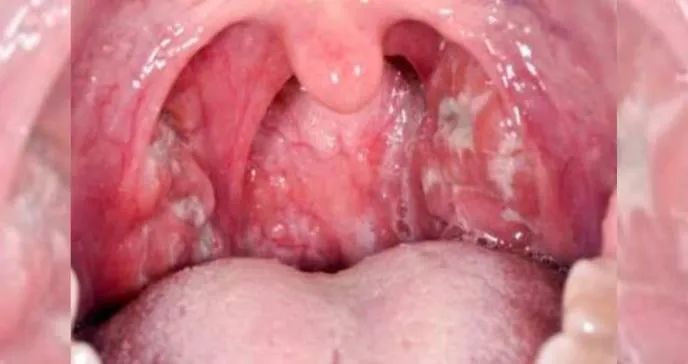 multimedia.normal.812522b46fc3cb6a.ZmFyaV9ub3JtYWwuanBn