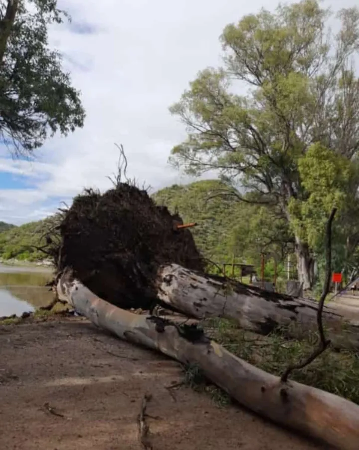 Screenshot_20250302-105245~2