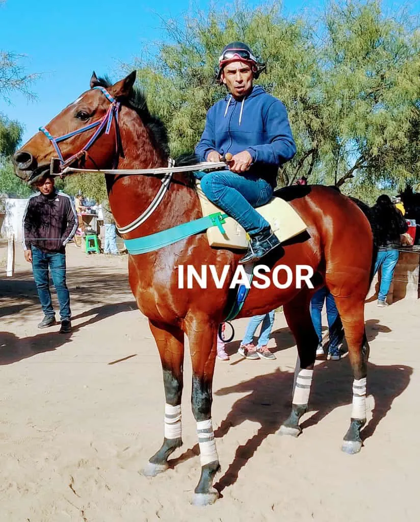 353649672_3743883875844311_6367167542680275138_n