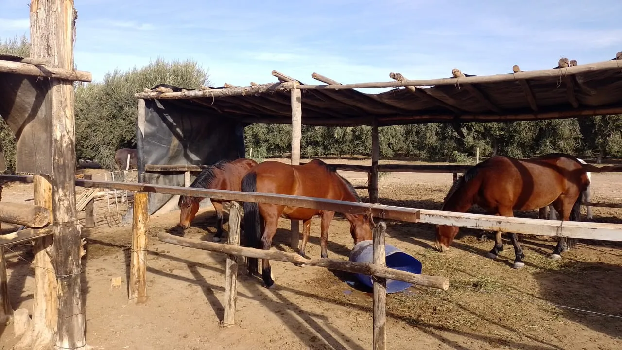 6bd1feab-bfda-48a7-a347-0f94f5bf866b