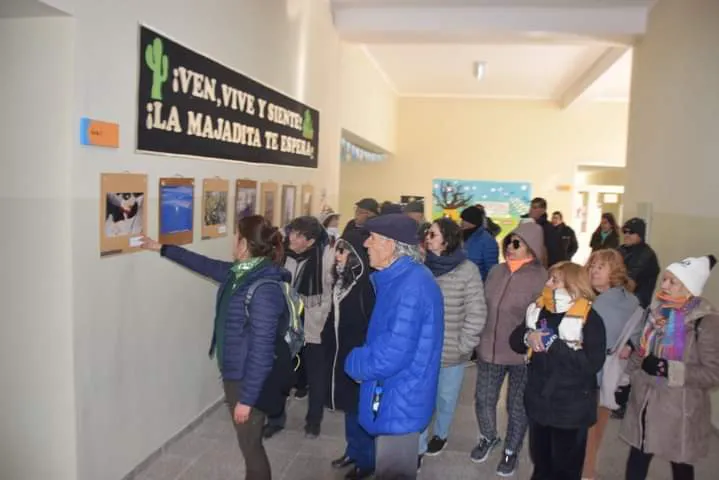 FB_IMG_1720488268244