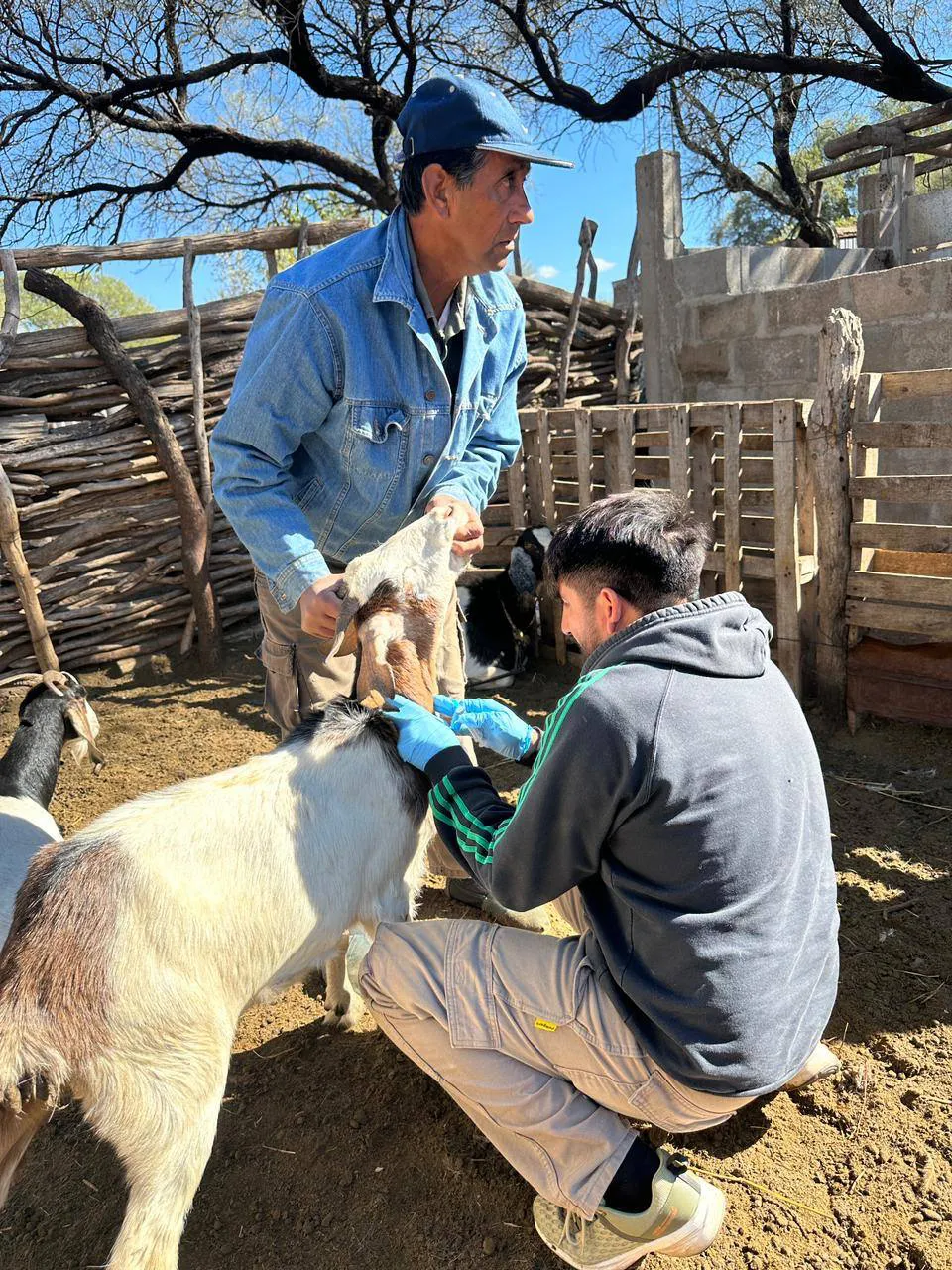 502423476_1126494186172203_2416426674065398850_n