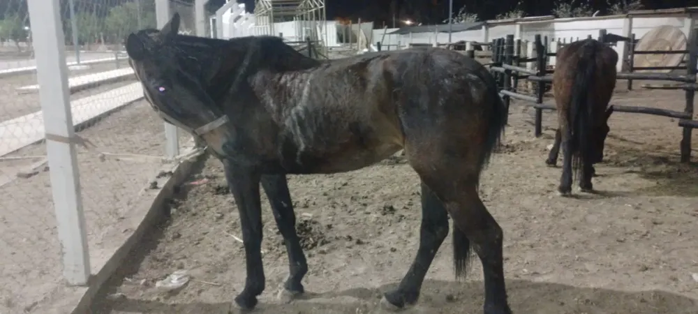 3ac33b50-0c64-4f96-b49f-c5efa438c495