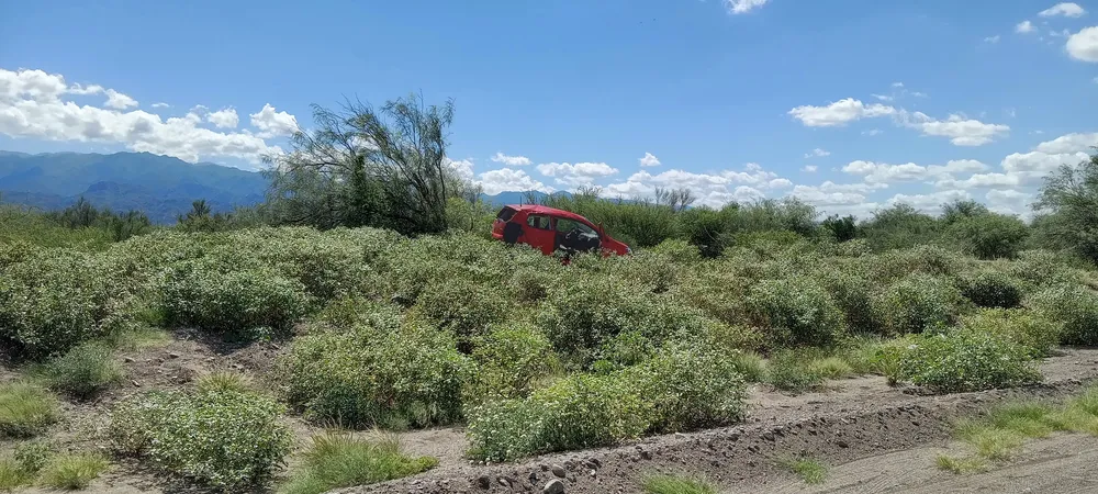 IMG_20260225_152712787_HDR