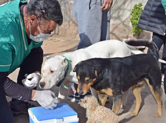 multimedia.normal.9208fa3c6b6b9c0f.3234303236333434345f343337303237303333333031363133385f36313933395f6e6f726d616c2e6a7067