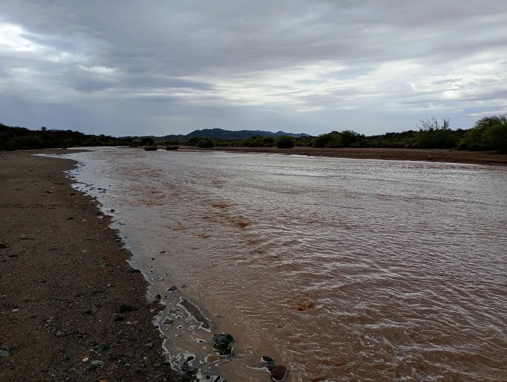 631637544_1434780498250274_2872989680587651940_n