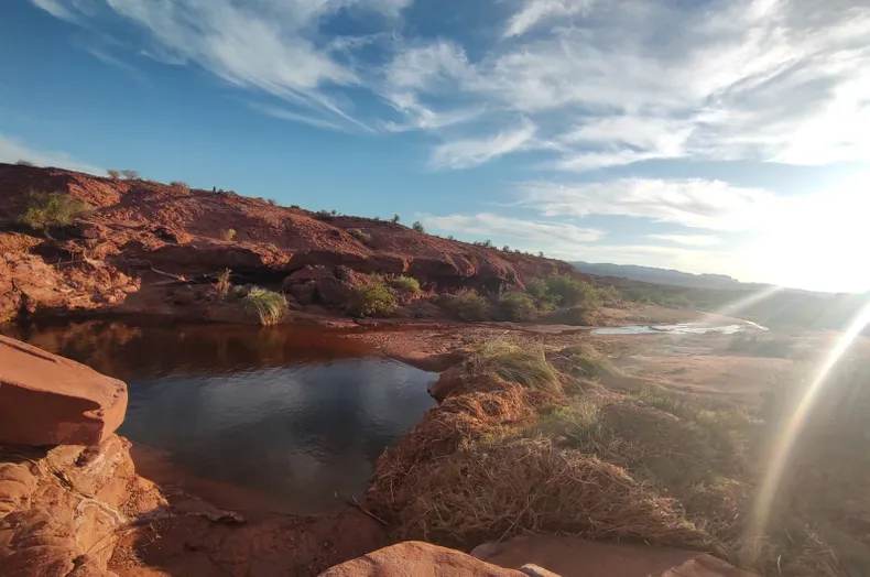 whatsapp-image-2025-03-14-at-004610-1jpeg