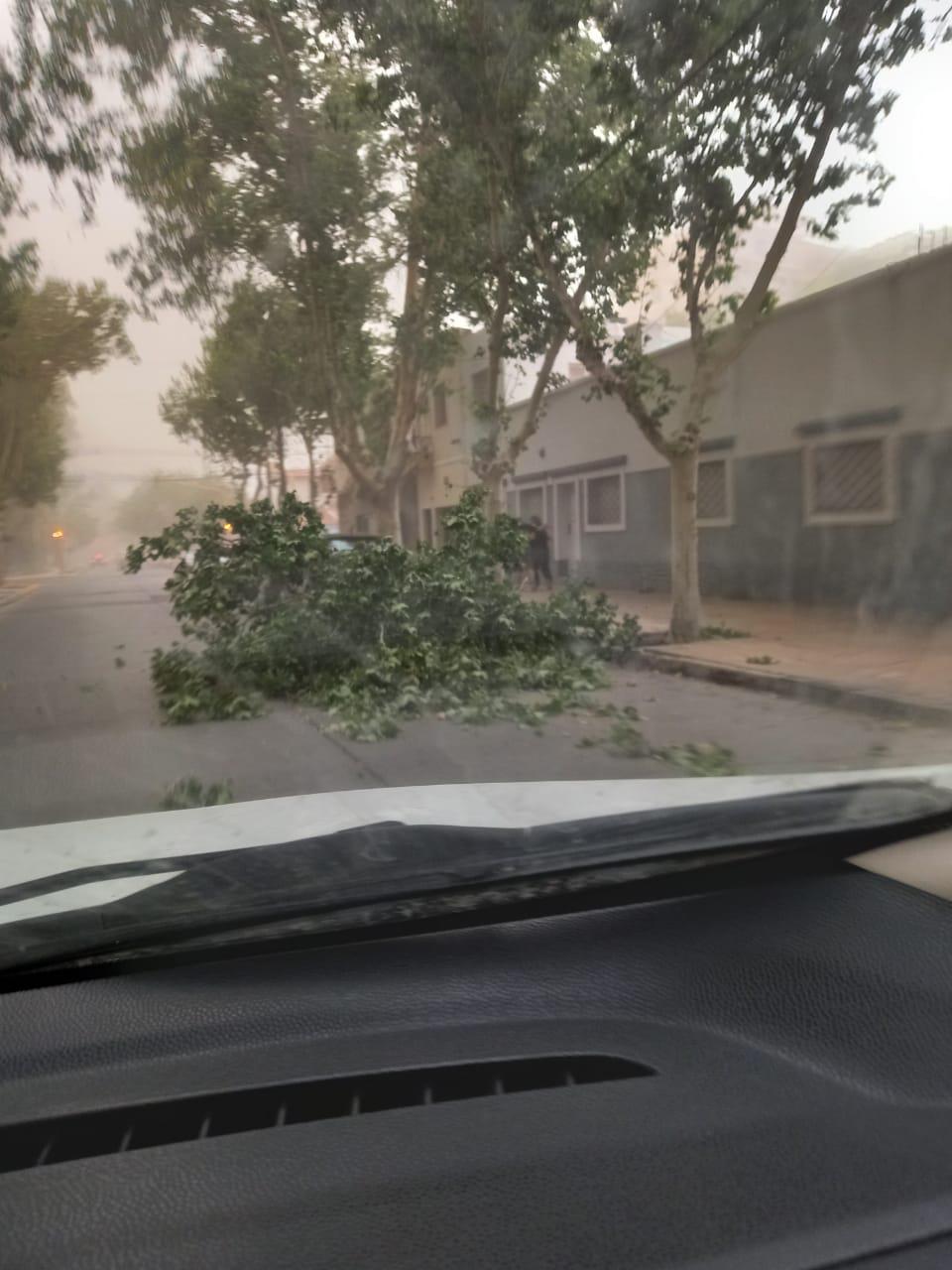 WhatsApp-Image-2021-11-24-at-6.25.19-PM-2