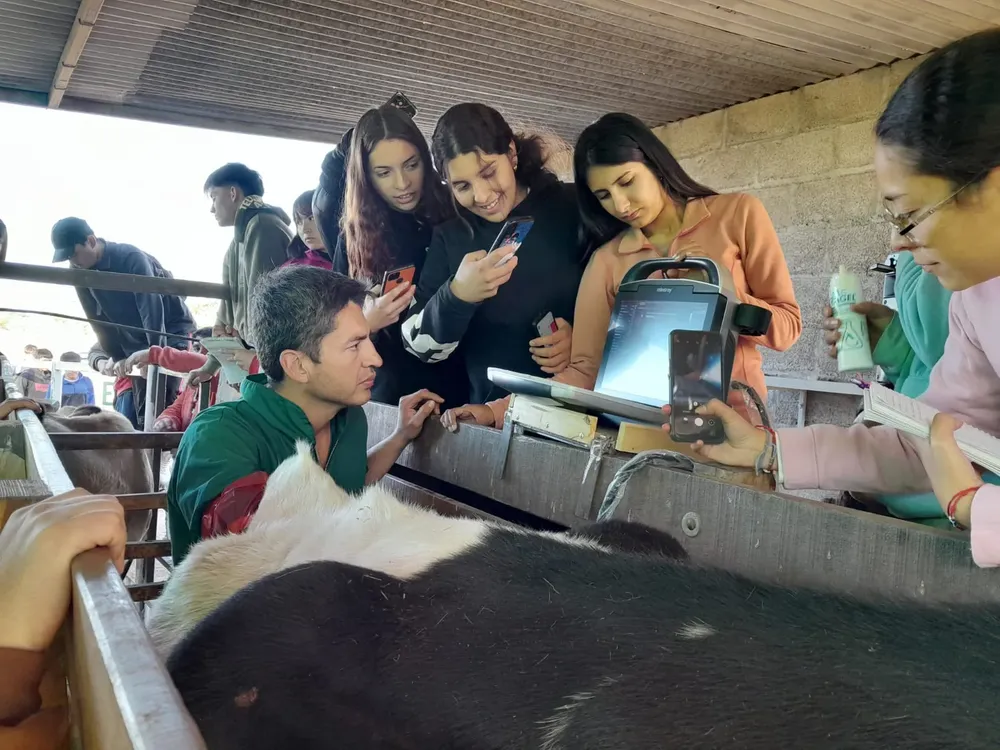 738448fc-dbc6-40f0-a6f7-4e5aaa098273