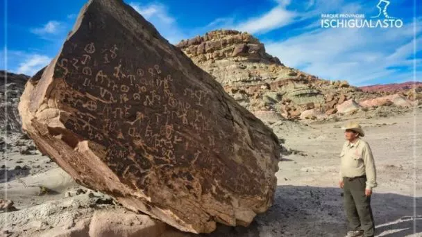 multimedia.normal.a50ff14ab8f19114.66363038783334322d3331373435335f3334373137365f31335f6e6f726d616c2e77656270