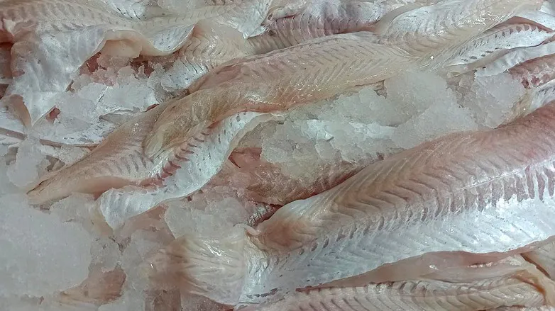 d694aabceb8044ebb218a98417d28feb_L