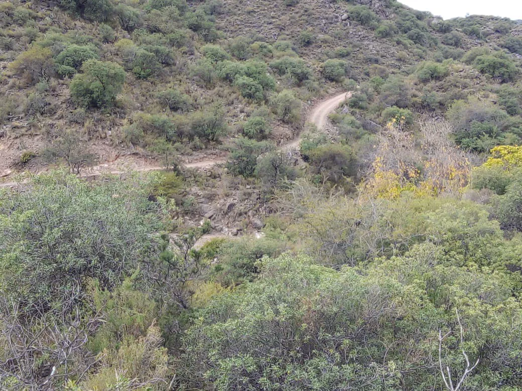 441522797_10228857641218563_6447495514258707984_n (2)