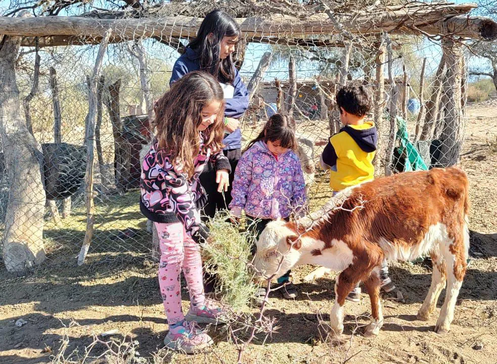 4c99d2d8-d919-4579-b930-14441c72d00f