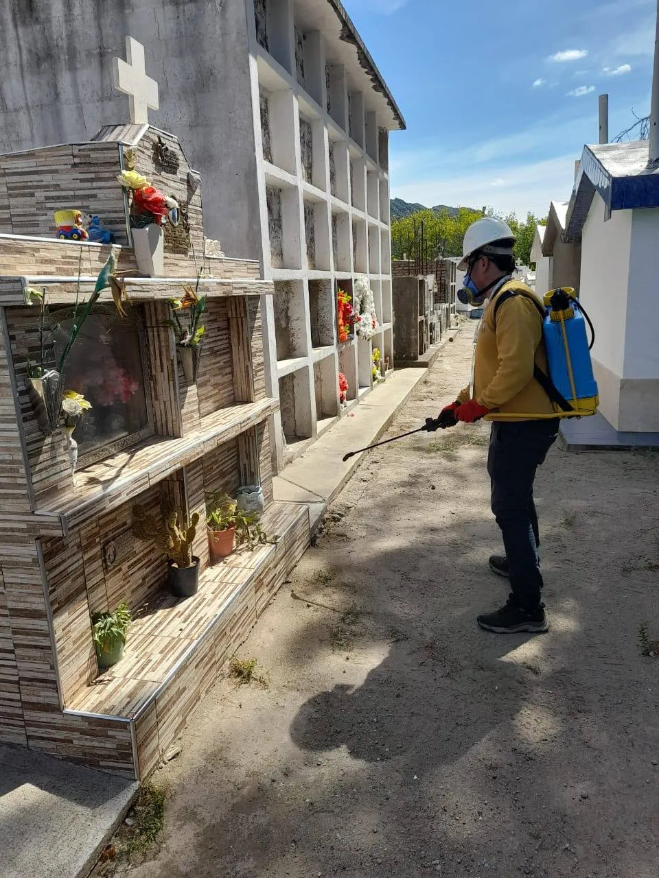 490116008_1089143456573943_7380199929244300891_n