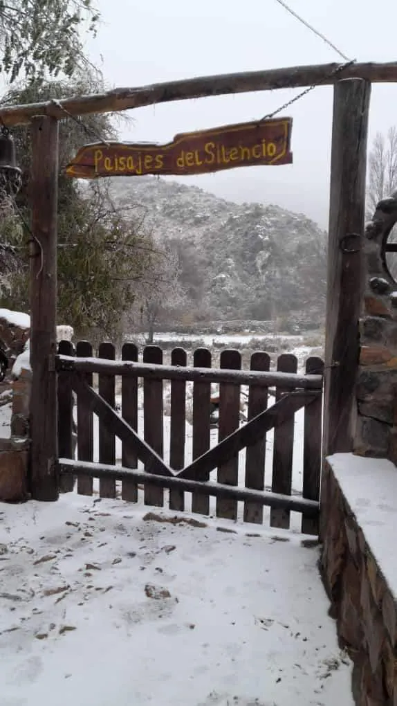 FB_IMG_1716667622877