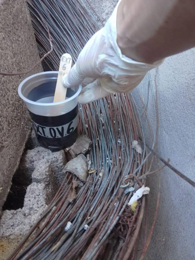 584522019_1610973186532920_7479642510096514791_n