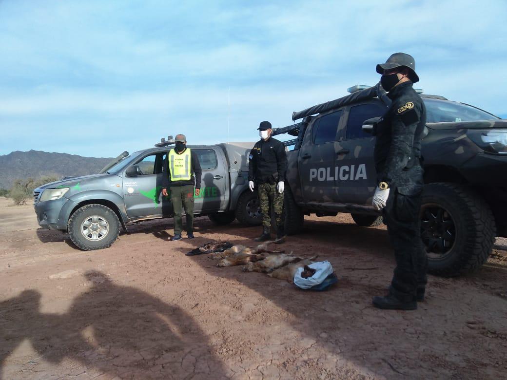 Caza-ilegal