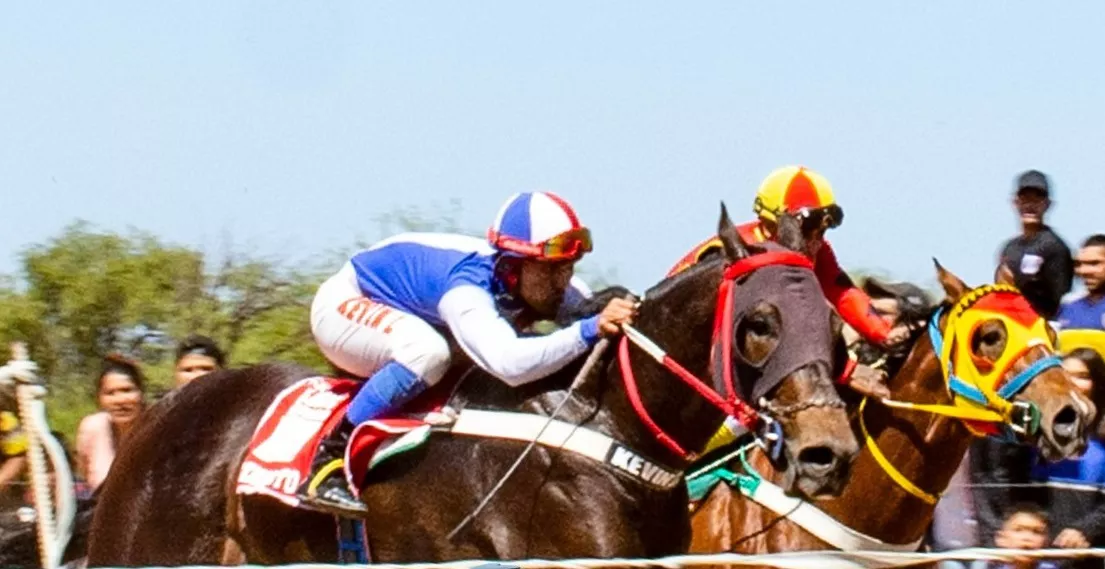 313380521_450397307180912_3189220151178275969_n