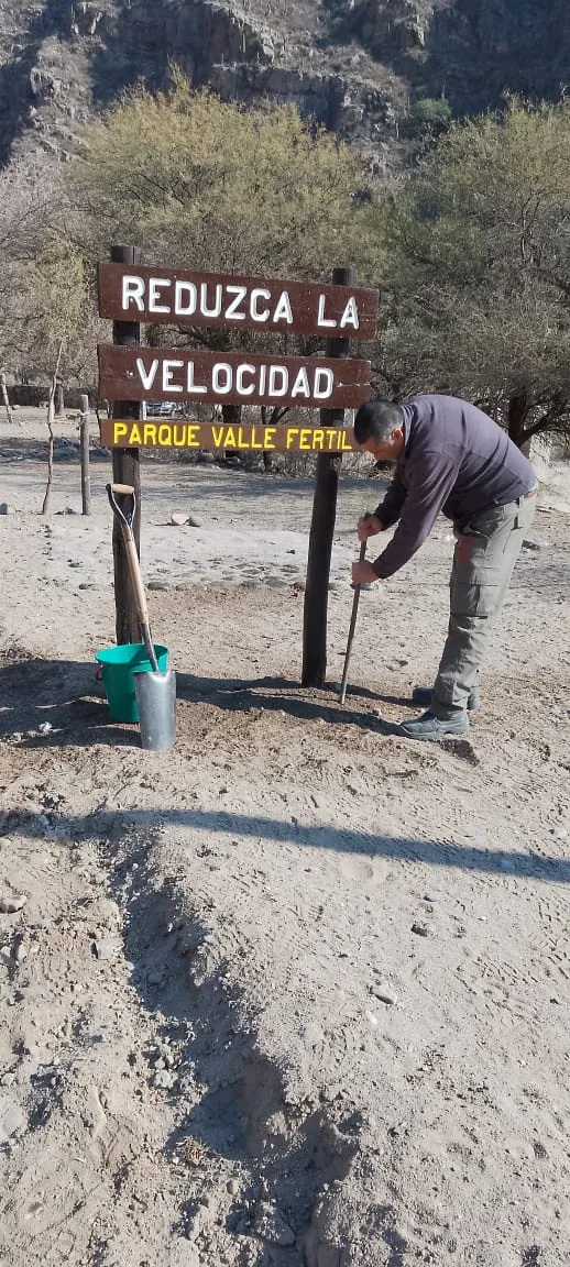 18f13c1a-501c-4e32-bb86-56e9bdadf76f