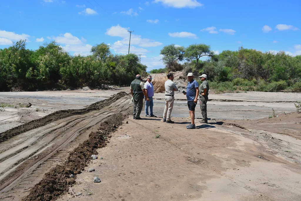 54292006092_35956fc088_b