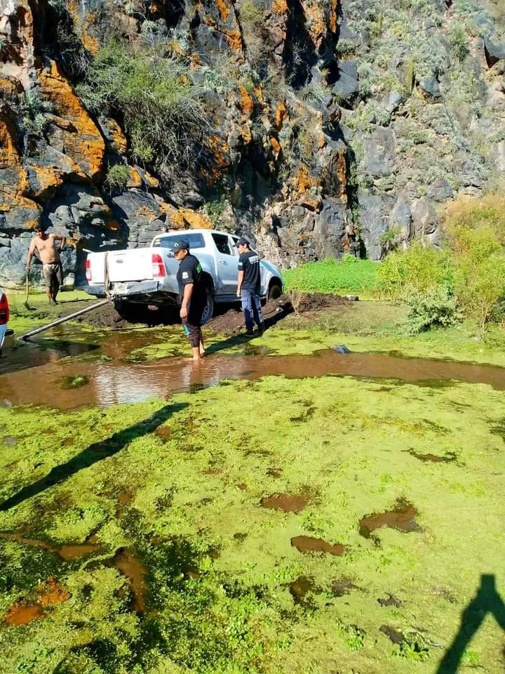 FB_IMG_1712021646194