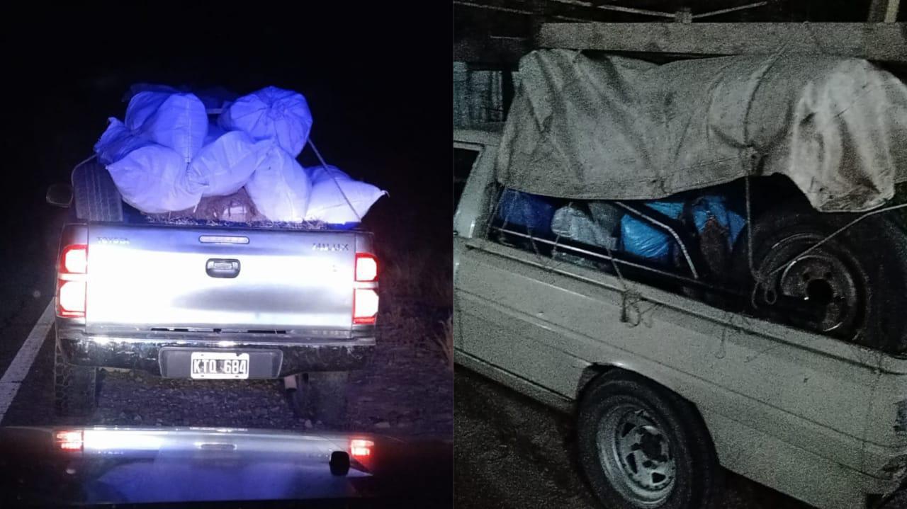 multimedia.normal.93df19fff8a80c01.63343839306237662d306464642d346338612d383761332d38383236393564635f6e6f726d616c2e6a7067