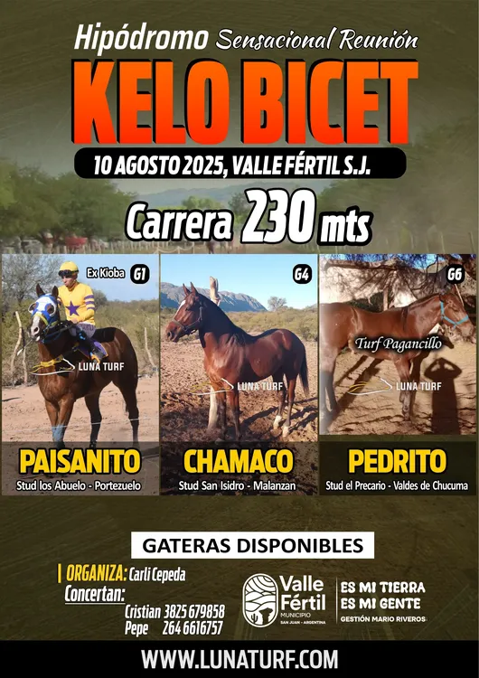 8641fc43-7de3-44fc-90c9-f7aa331772b8