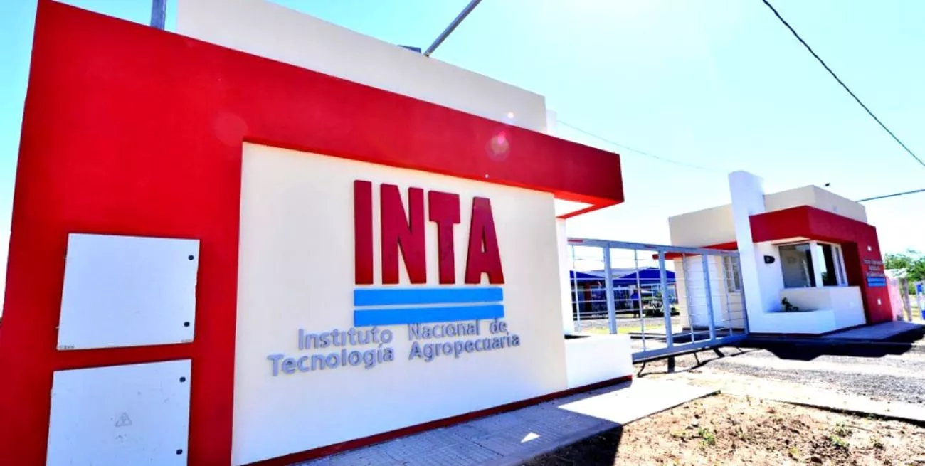 CSeXljK6Q_1300x655__1