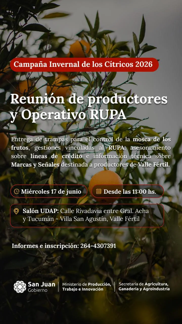 WhatsApp Image 2026-06-16 at 09.53.09