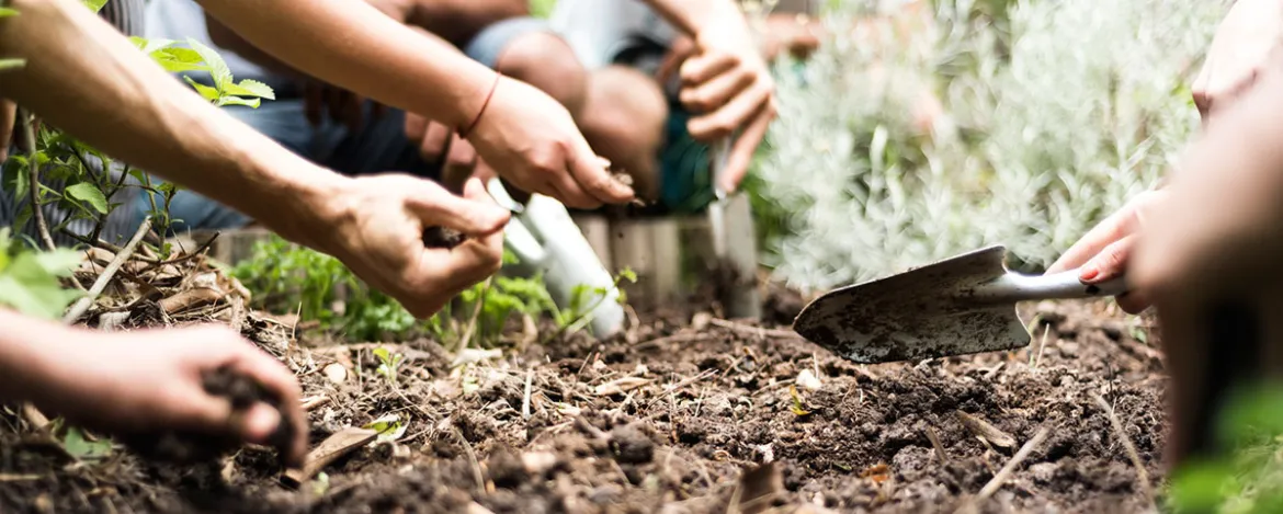 Diseño sin título (86)_0