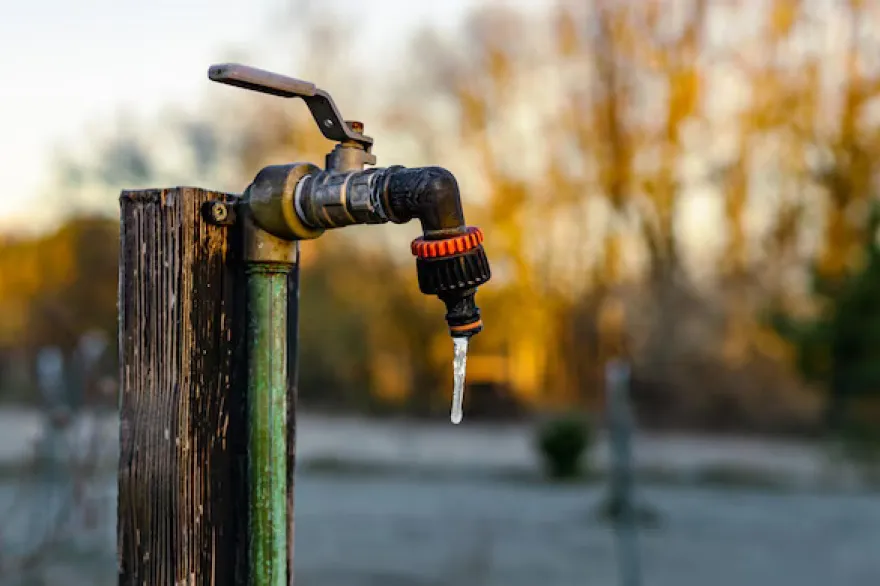 20240705192844_grifo_jardin_gota_agua_congelada_temprano_manana_fria_606603_254
