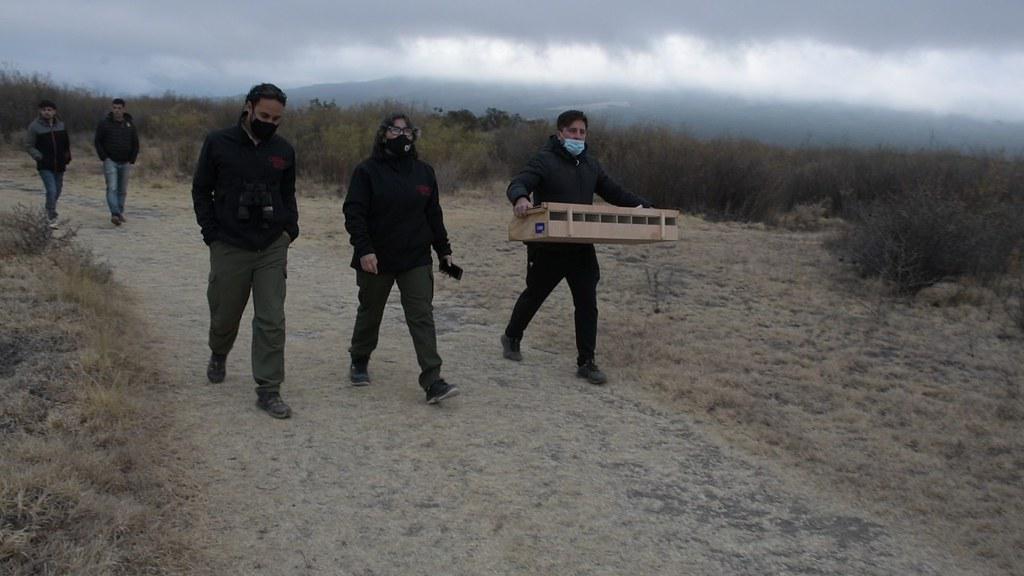 51422958415_8e9aeaa769_b