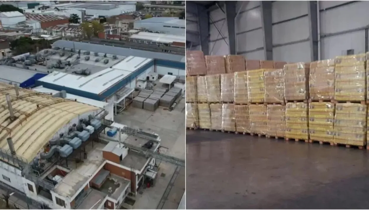 alimentos-capital-humano-1