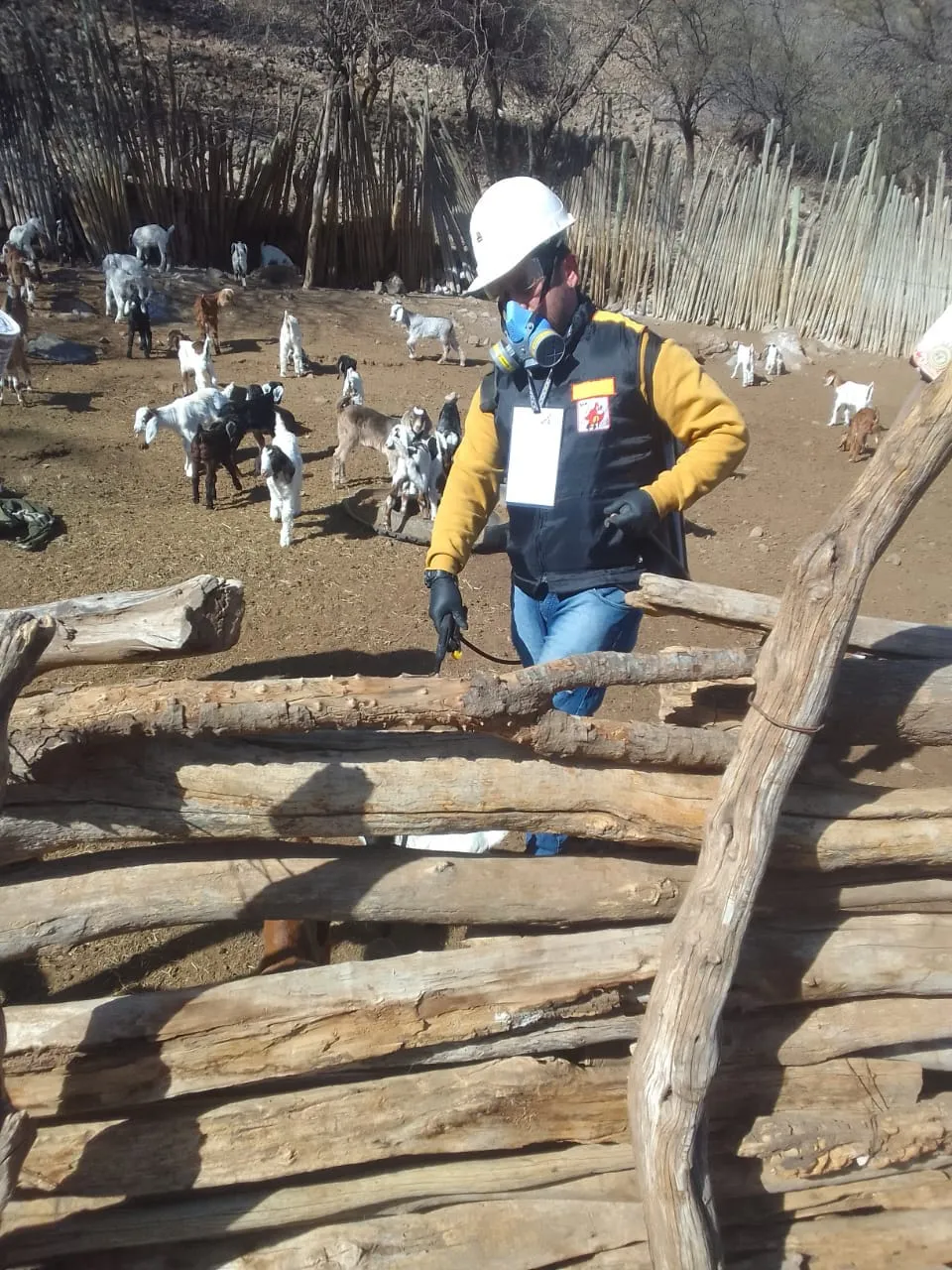 458983255_931987748956182_4834471085174814934_n