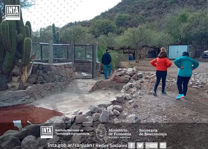 FB_IMG_1723142055130