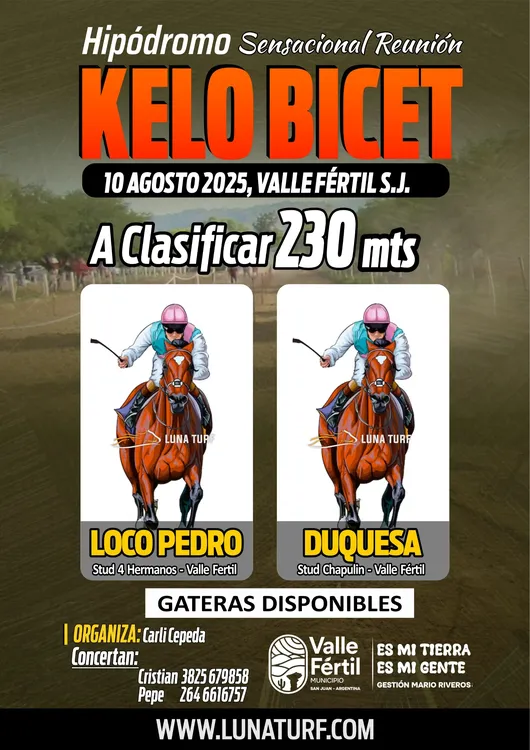 bbcac6e3-6227-4678-af5a-f5be1d6225e2