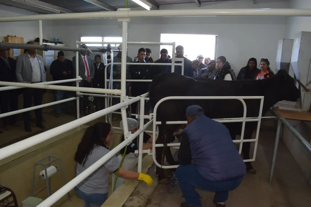 454511529_909130751241882_3884055933597524133_n