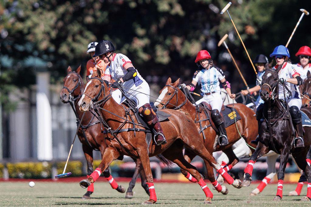 450618_polo