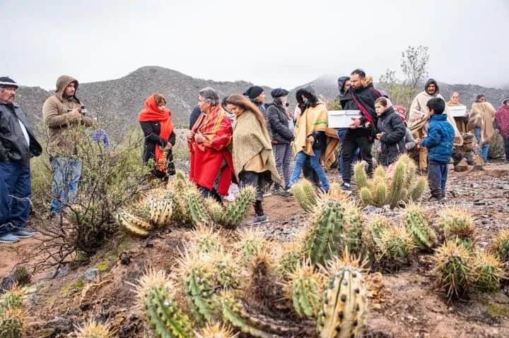 FB_IMG_1716752822379