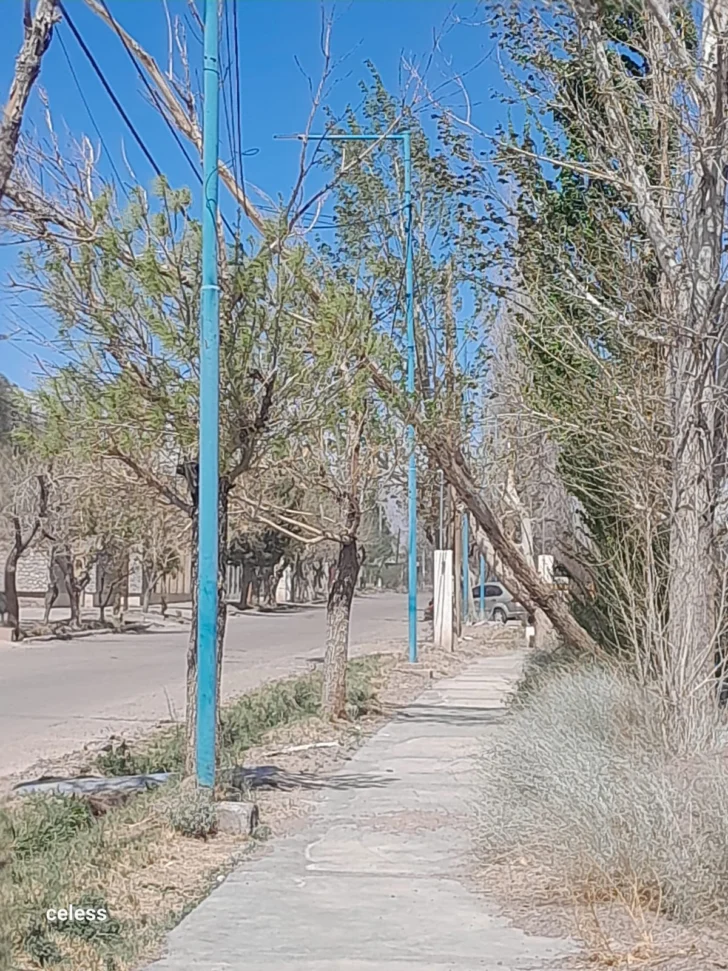 IMG-20250926-WA0061-728x971