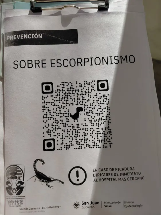 631593664_1338100465011573_1453041303615449992_n