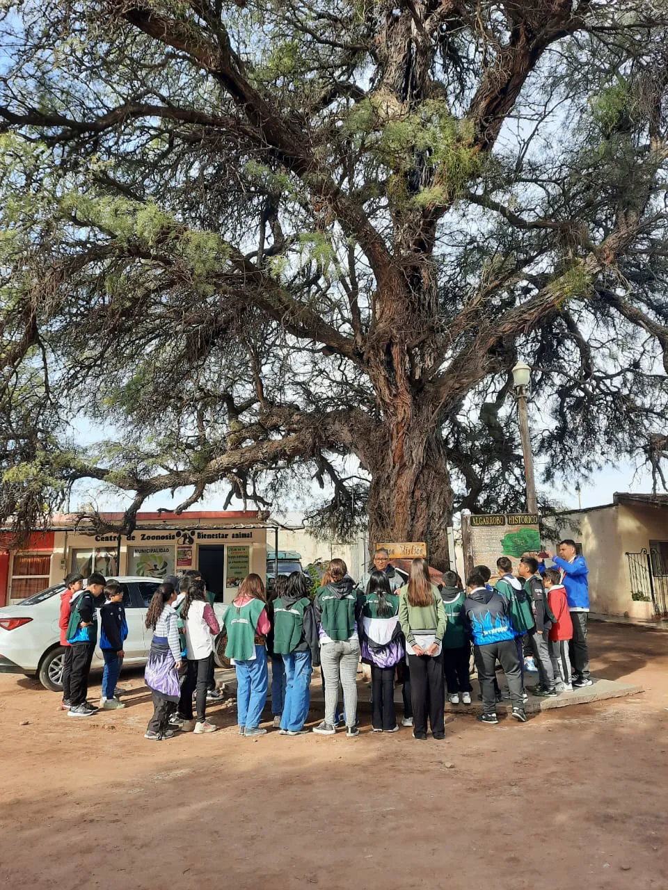 a7816356-db44-453d-af85-9ba6ba4ee25e