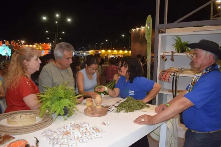 FB_IMG_1730479661575