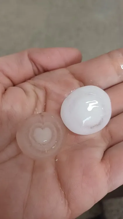 FB_IMG_1764416925851