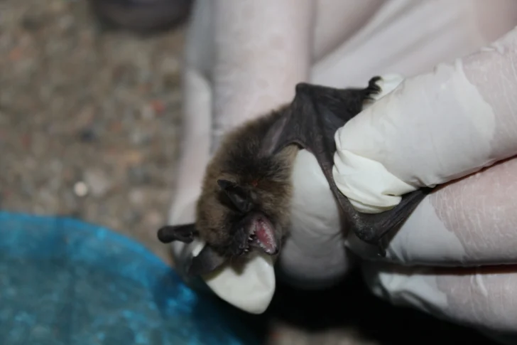 WhatsApp-Image-2025-05-14-at-17.55.27-728x485