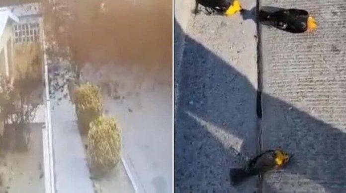 62096995c25e4-700x391-1-696x389